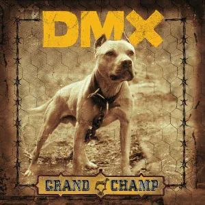 DMX feat. Swizz Beatz - Get It On The Floor