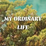 Kidolitx - My Ordinary Life