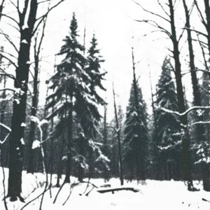 x3ryvum - КОГДА РАСТАЕТ СНЕГ