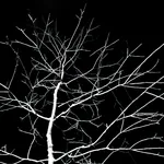 Halloween, Halloween Music, Halloween Partystarters - Ghost Town