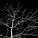 Halloween, Halloween Music, Halloween Partystarters - Ghost Town