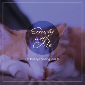 Bryan Maxwell - Cat Purring Focusing Sounds, Pt. 6