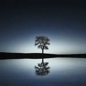 Massagem Guru, Sonidos De Lluvia y Tormentas, Master Meditação - Midnight Wind