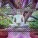 Meditation - Mystically Binaural