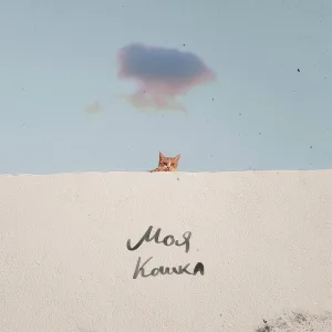 Never Get Used To People - Моя кошка