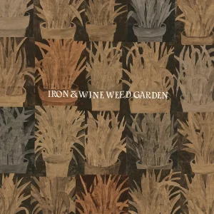Iron & Wine - Milkweed