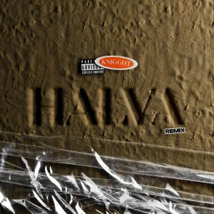 KNIGGHT - HALVA (Remix)