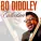 Bo Diddley - You Don't Love Me (You Don't Care)