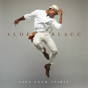 Aloe Blacc - Wake Me Up