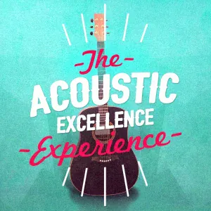 Acoustic Hits, Unplugged Hits, Acoustic All-Stars, Acoustic Guitar Songs, Plastic Shadows - Suzanne