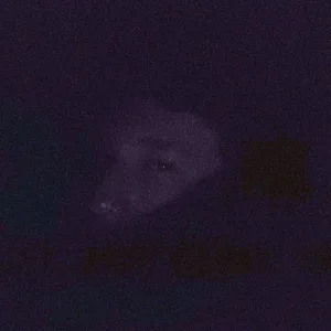 VLADDEMARR - По Ночному Городу