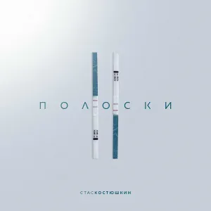 Стас Костюшкин - 2 полоски