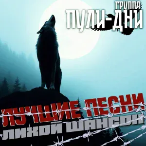Группа Пули-Дни - Гуляй братва