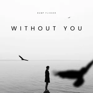 Bump Flicker - Without You