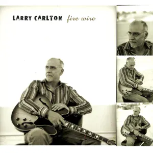 Larry Carlton - Naked Truth