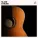 Instrumental Guitar Masters, Easy Listening Guitar Music, Smooth Guitar, Easy Listening Guitar - Instrumental Acoustic Guitar