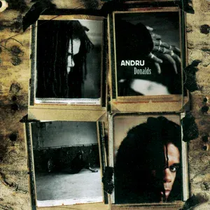 Andru Donalds - Sweetness