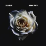 asanrap - Шома тигр