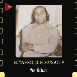 Niyaməddin Musayev - Nə Bilim