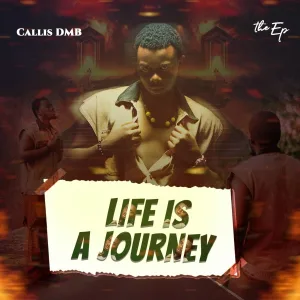 Callis Dmb - Validation