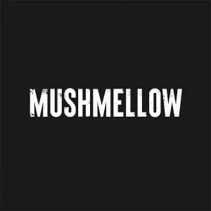 Mushmellow - Come Back Home
