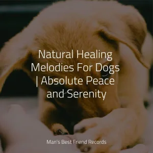 Dog Music Club, Pet Care Club, Music for Pets Library - Relaxation