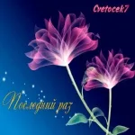 Cvetocek7 - Я помню