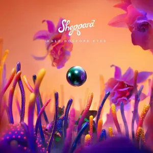 Sheppard - Symphony