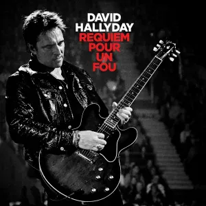 David Hallyday - Tu ne m'as pas laissé le temps