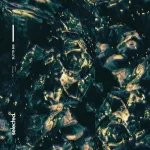 Nu Aspect - Light