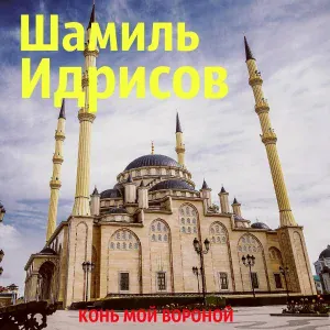 Шамиль Идрисов - Девушка свет