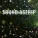 Elijah Wagner - Relaxing Insect Swarm Ambience, Pt. 1