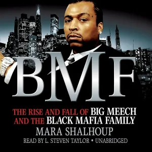BMF feat. L. Steven Taylor - Stupid and the Girl 1