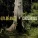 Guy Bélanger - Where the Buffalo Sleeps