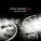 Stella Starlight Trio - Can't Feel My Face
