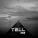 Amor - Tell Me