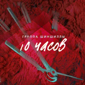 Шиншиллы - Хельсинки