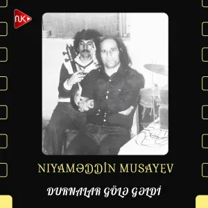 Niyaməddin Musayev - Durnalar Gölə Gəldi