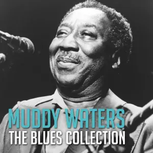 Muddy Waters - Manish Boy