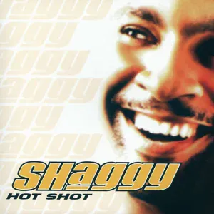 Shaggy feat. Ricardo Ducent - Chica Bonita