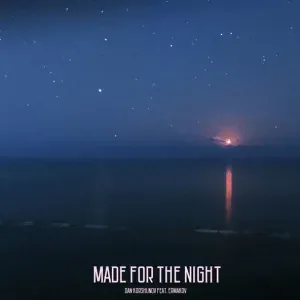 Dan Korshunov feat. ermakov - Made for the Night