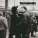Stereophonics - Roll Up And Shine