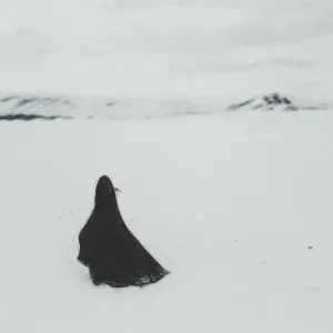 yayaheart - Cry!