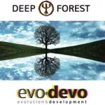 Deep Forest - Dead Forest