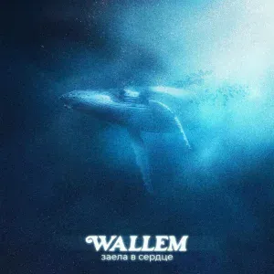 Wallem - Заела в сердце