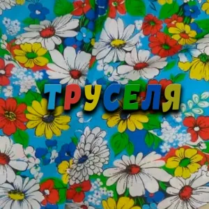 Артём Кальянов - Труселя