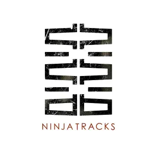 NINJA TRACKS - Pride of Man