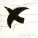 Andrea Vanzo - Dreaming to Fly