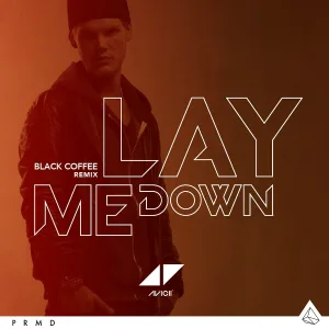 Avicii - Lay Me Down