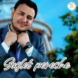 Sorin Copilul De Aur - Plang de dor